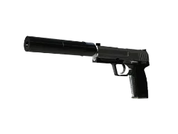 donk's USP-S | Stainless (Minimal Wear) CS2 skin