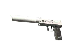 molodoy's USP-S | Printstream (Field-Tested) CS2 skin