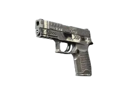 molodoy's P250 | Re.built (Well-Worn) CS2 skin