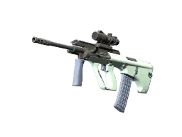 ZywOo's AUG | Storm (Well-Worn) CS2 skin