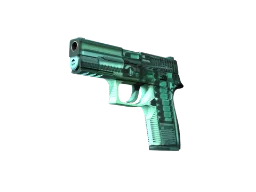 ZywOo's Genuine P250 | X-Ray (Factory New) CS2 skin
