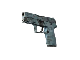ZywOo's P250 | Forest Night (Field-Tested) CS2 skin