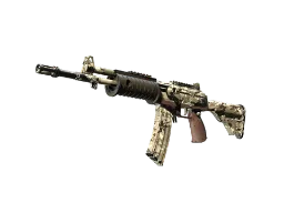 molodoy's Galil AR | VariCamo (Field-Tested) CS2 skin