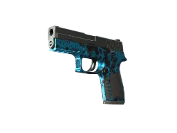 NiKo's StatTrak™ P250 | Undertow (Factory New) CS2 skin