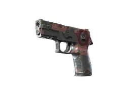 m0NESY's Souvenir P250 | Constructivist (Field-Tested) CS2 skin