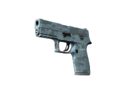 ZywOo's P250 | Forest Night (Minimal Wear) CS2 skin