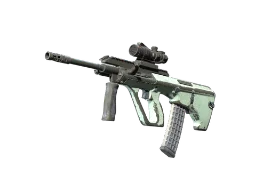 ZywOo's AUG | Storm (Battle-Scarred) CS2 skin