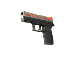 ZywOo's P250 | Cassette (Minimal Wear) CS2 skin