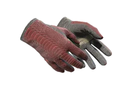 ZywOo's ★ Driver Gloves | Dragon Fists (Well-Worn) CS2 skin