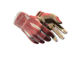 donk's ★ Sport Gloves | Slingshot (Minimal Wear) CS2 skin