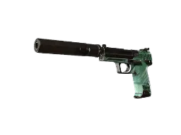 ZywOo's USP-S | PC-GRN (Battle-Scarred) CS2 skin